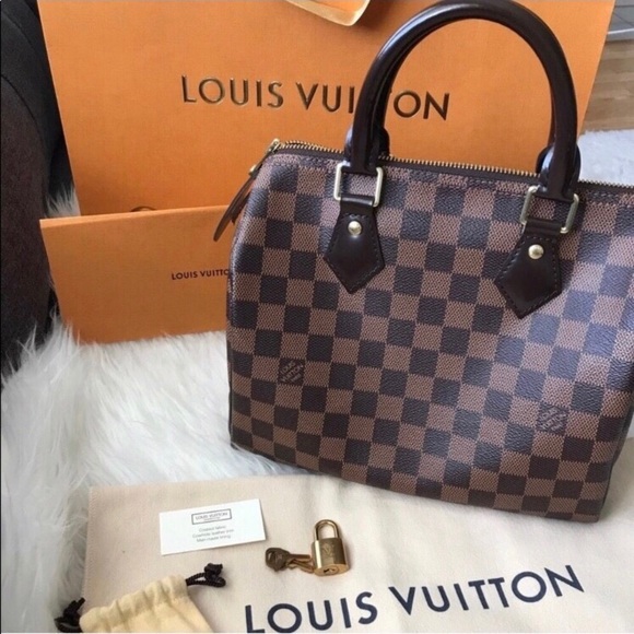louis vuitton speedy 25 damier